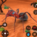蚂蚁模拟器昆虫进化Ant Simulator